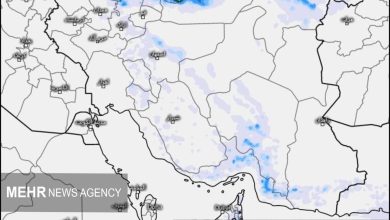همسو اقتصادی