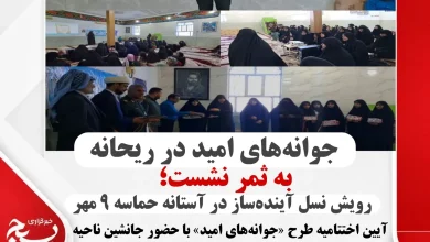 همسو اقتصادی