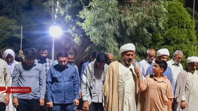 همسو اقتصادی