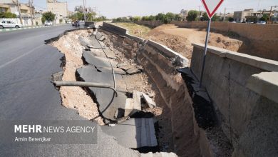 همسو اقتصادی