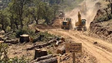 همسو اقتصادی