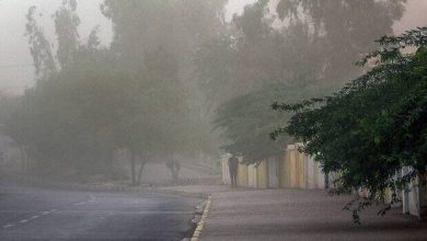 همسو اقتصادی