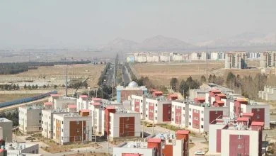 6031855.jpg