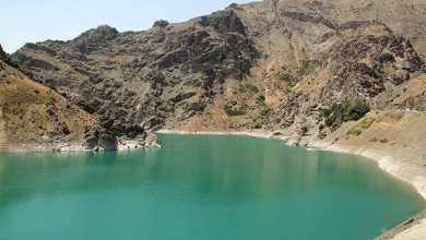 همسو اقتصادی