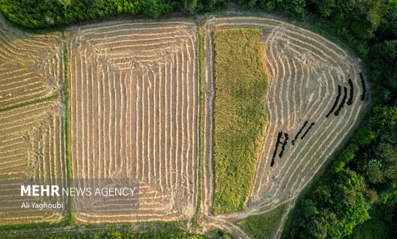 6132313.jpg