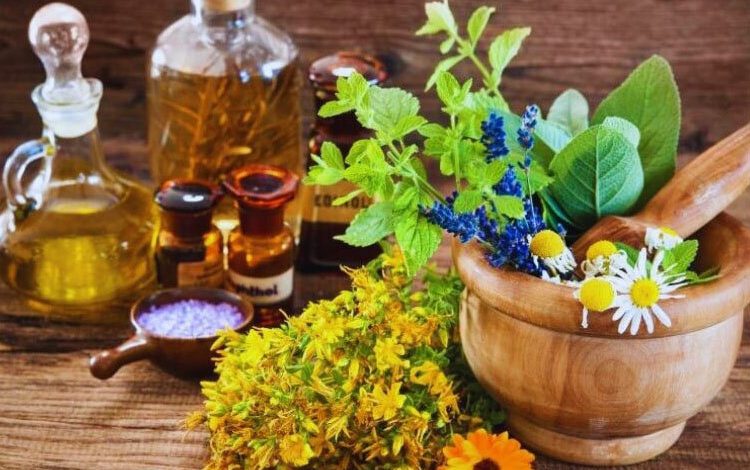 اقتصاد گیاهان دارویی باید بر پایه ظرفیت‌های منابع طبیعی توسعه یابد