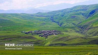 همسو اقتصادی