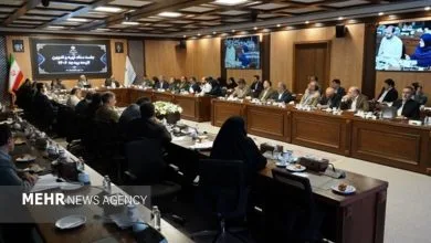 همسو اقتصادی