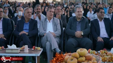 همسو اقتصادی