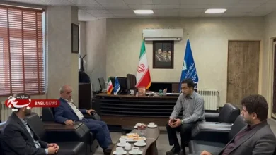 همسو اقتصادی