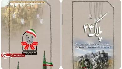 همسو اقتصادی