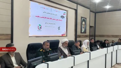 همسو اقتصادی