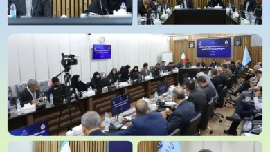 همسو اقتصادی