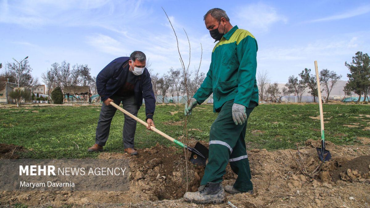 همسو اقتصادی