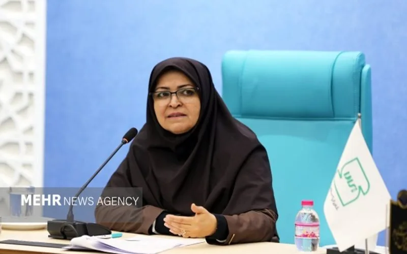 اتصال سامانه‌های استاندارد و گمرک برای تسریع ترخیص کالا