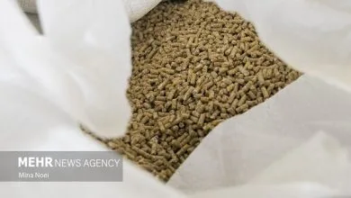 همسو اقتصادی