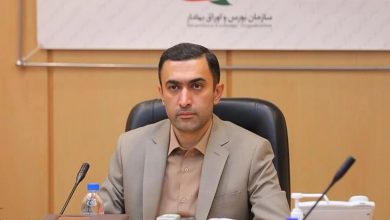 همسو اقتصادی