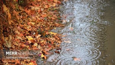 همسو اقتصادی