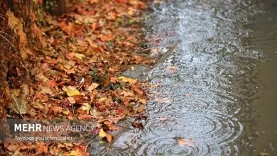 همسو اقتصادی