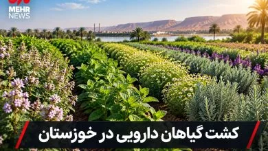 همسو اقتصادی