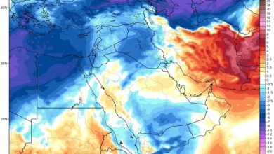 همسو اقتصادی