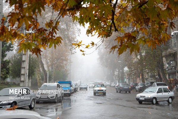 همسو اقتصادی