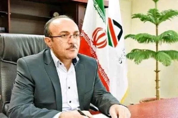 همسو اقتصادی