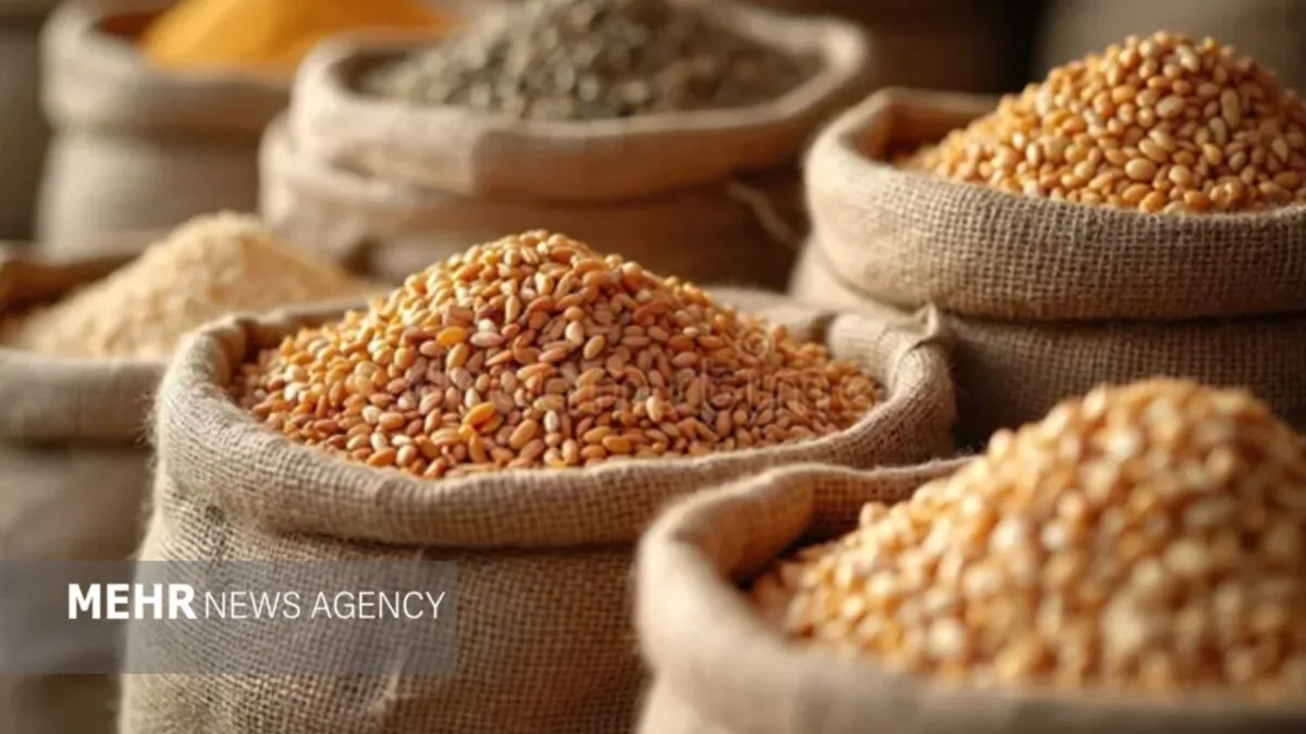 افت قیمت جهانی گندم و ذرت در برابر گرانی روغن و برنج