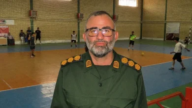 همسو اقتصادی
