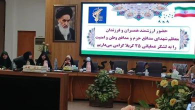 همسو اقتصادی