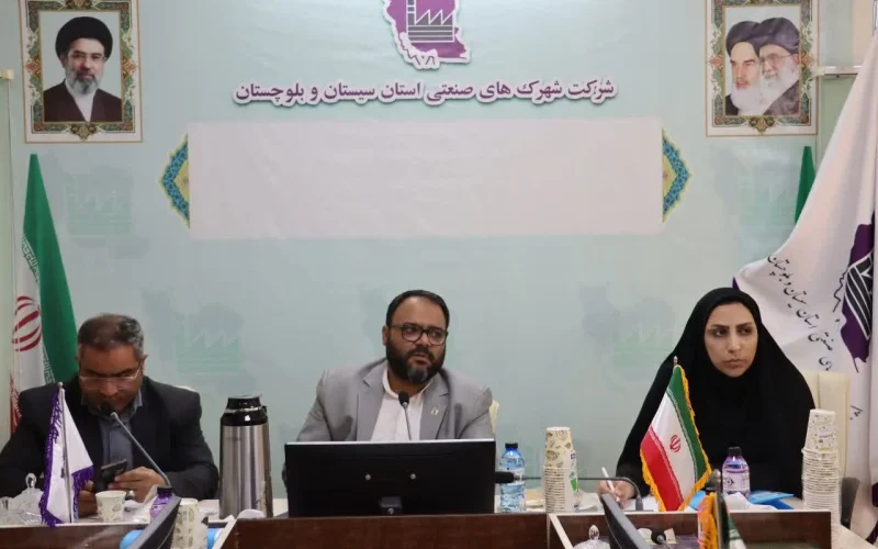 کارگروه حمایت از تولید و اشتغال شرکت شهرک های صنعتی استان سیستان و بلوچستان