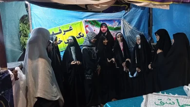 همسو اقتصادی